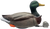 Mojo Outdoors HW2554 Dabbler Duck  Mallard Drake Species                                                                                                                                                