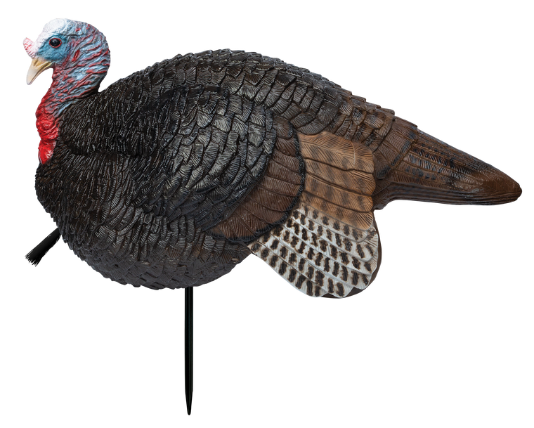 Primos 69074 Lil' Gobstopper Jake Turkey Species Multi Color                                                                                                                                            