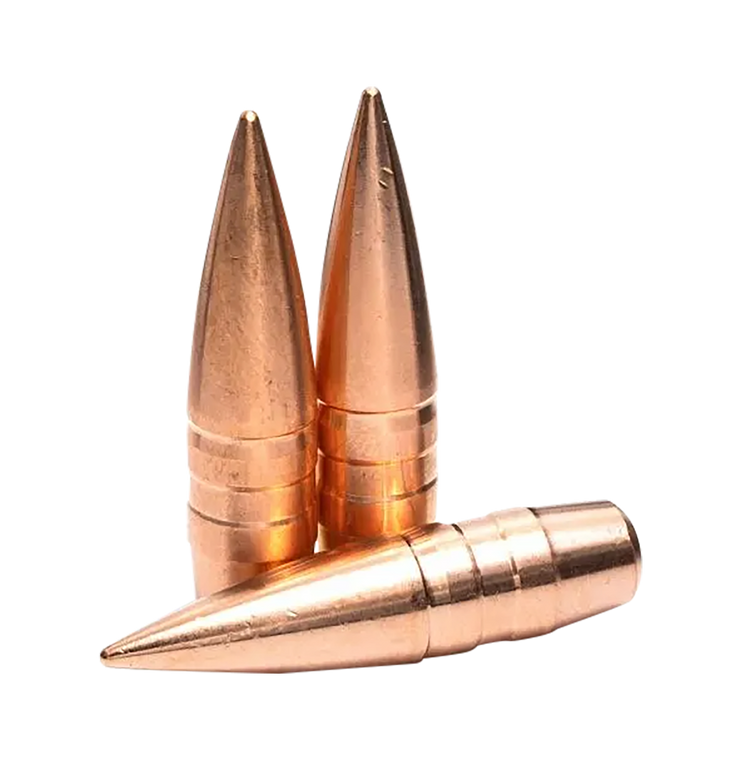 Lehigh Defense 04308150SP Match Solid  30-06Springfield/308Win/300WinMag 150gr Solid 50/Box                                                                                                             