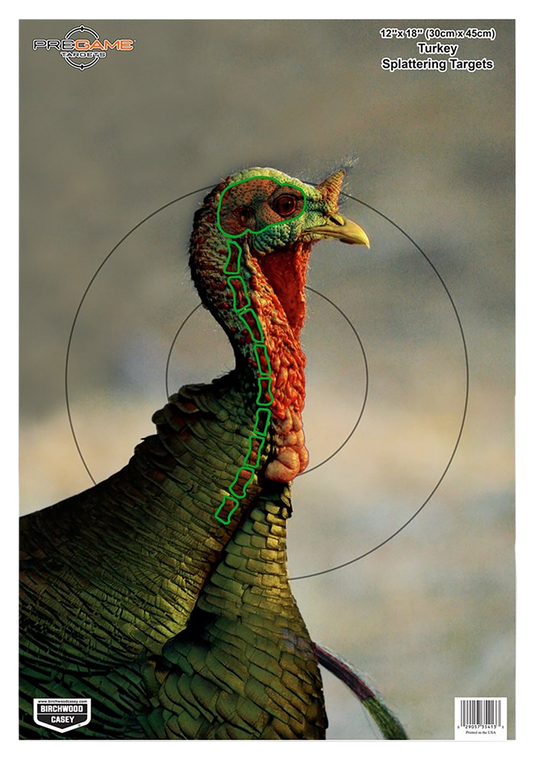 Birchwood Casey 35403 Pregame  Turkey Paper Hanging Universal 12" x 18" Multi-Color 8 Per Pkg                                                                                                           