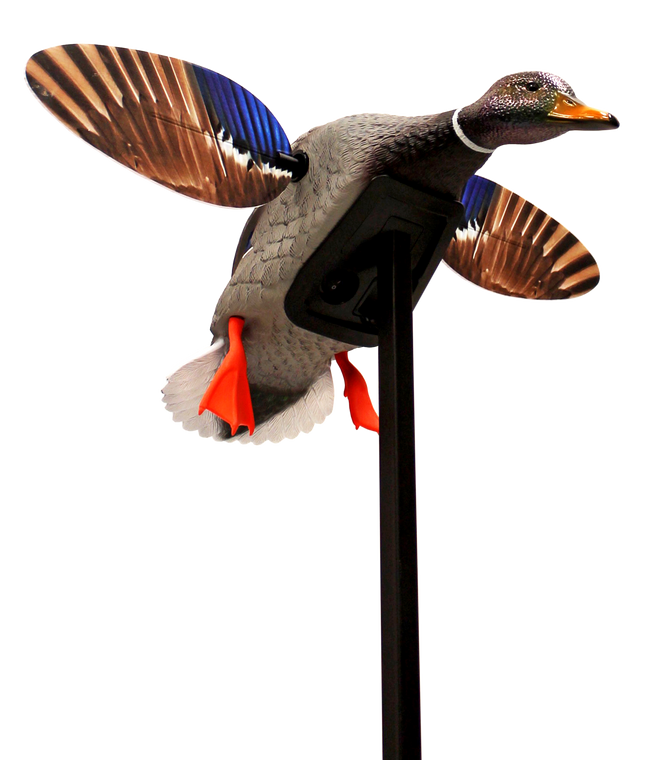 Mojo Outdoors HW24703P Elite Series Mini Mallard Drake Species Multi Color Plastic                                                                                                                      