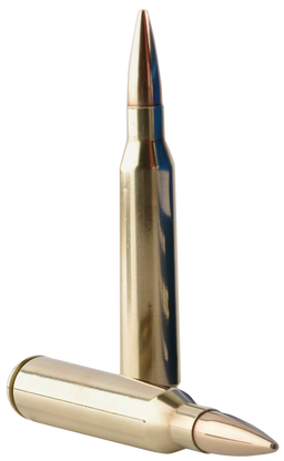Tr&Z .338 Lapua 250gr – 10rd