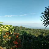 View from Finca Malacara