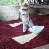 La Bolsa