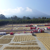 Drying patio at Bella Vista
