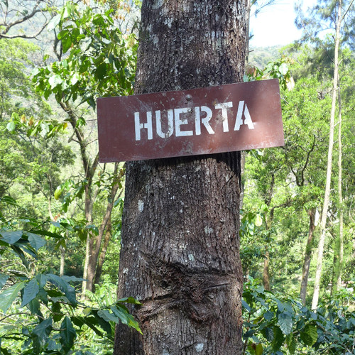 La Bolsa - La Huerta