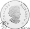 Canada: 2011 $20 Hyacinth Red Small Crystal Snowflake Silver Coin