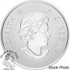 Canada: 2017 $10 Welcome to the World Baby Feet Silver Coin