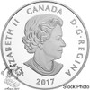 Canada: 2017 $10 Birds Among Nature's Colours - Northern Flicker Silver Coin