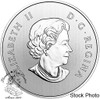 Canada: 2018 $10 Year of the Dog - Pure Silver Coin