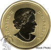 Canada: 2018 $1 Loonie Burrowing Owl Specimen Coin