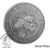 Canada: 2019 A Bicentennial Celebration Pure Silver 5-Coin Maple Leaf Fractional Set