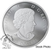 Canada: 2019 $30 Birds in the Backyard 2 oz. Pure Silver Coloured Coin