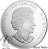 Canada: 2014 $250 Maple Leaf Forever One Kilogram Silver Coin