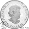 Canada: 2020 $50 The Hummingbird And The Bloom 5 oz Pure Silver Coin