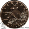 Canada: 2005 $1 Puffin Loonie Specimen