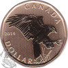 Canada: 2014 $1 Ferruginous Hawk Loonie Specimen