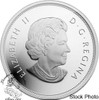 Canada: 2014 $50 Maple Leaves 5 oz. Fine Silver Coin *No Outer Box*