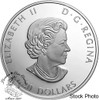 Canada: 2022 $20 Remembrance Day 1 oz Pure Silver Coloured Coin