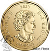 Canada: 2023 $1 Honouring Elsie MacGill Coloured Loonie Coin