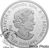 Canada: 2024 $20 Celebrating Canada's Diversity: Transcendence and Tranquility 1 oz Fine Silver Coin