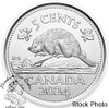 Canada: 2024 5 Cents Proof Pure Silver Coin