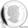 Canada: 2015 $20 Canadian Icons: Polar Bear Silver Coin with Jade *No Boxes*