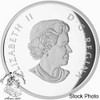 Canada: 2016 $20 Four-Leaf Clover Silver Coin *Toned*