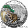Canada: 2016 $20 Baby Animals Raccoon Silver Coin
