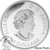 Canada: 2016 $20 Maple Leaf Maze Silver Coin