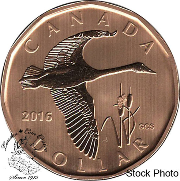 Canada: 2016 $1 Tundra Swan Specimen Coin Canada: 2016 $1 Tundra Swan Specimen Coin