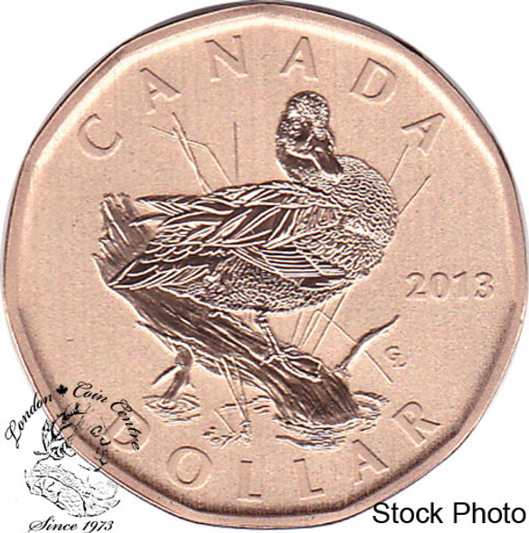 Canada: 2013 $1 Blue-Winged Teal Duck Loonie Specimen