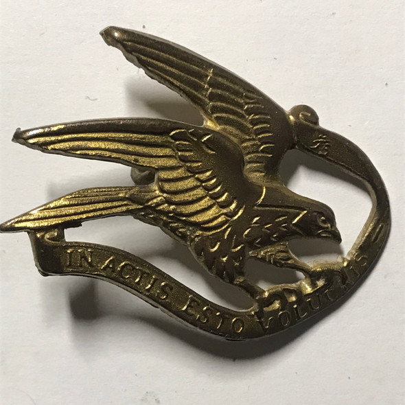 Denmark: Guard Hussar Regiment Badge