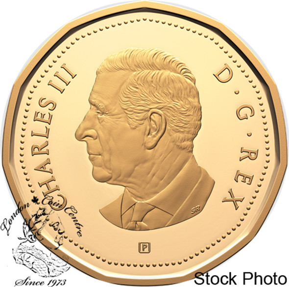 Canada: 2024 $1 Proof Silver Loonie Coin with Gold Plating Canada: 2024 $1 Proof Silver Loonie Coin with Gold Plating