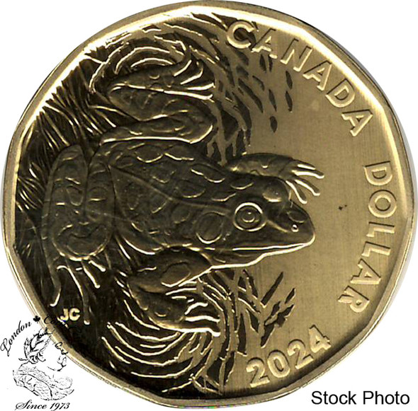 Royal Canadian Mint 80% Silver Dollar Coin $1