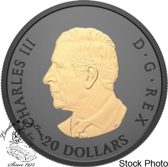 Canada: 2025 $20 Gilded Elegant Maple Pure Silver Coin
