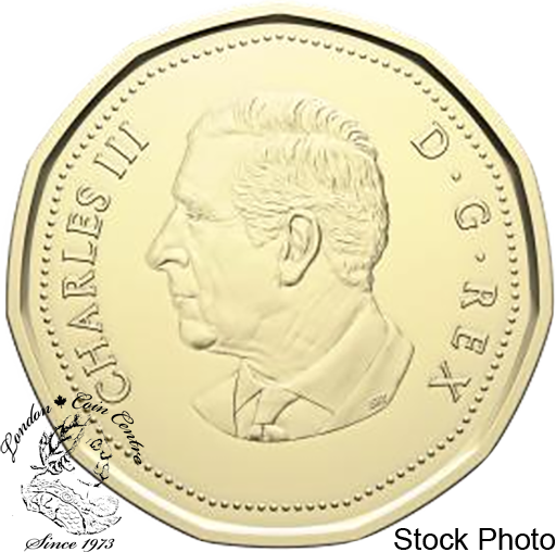 Canada: 2026 Ducks with Cake Loonie Coin