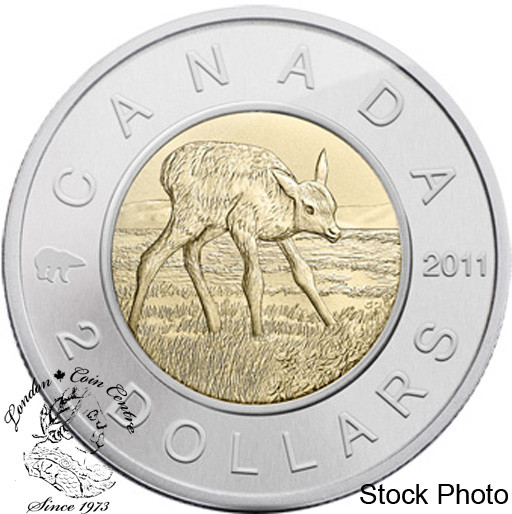 Canada: 2011 $2 Toonie Special Edition Specimen Coin Set - Elk
