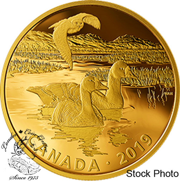 Canada: 2019 $30 Golden Reflections Predator and Prey: Snowy Owl and Greater White-fronted Geese Fine Silver Coin