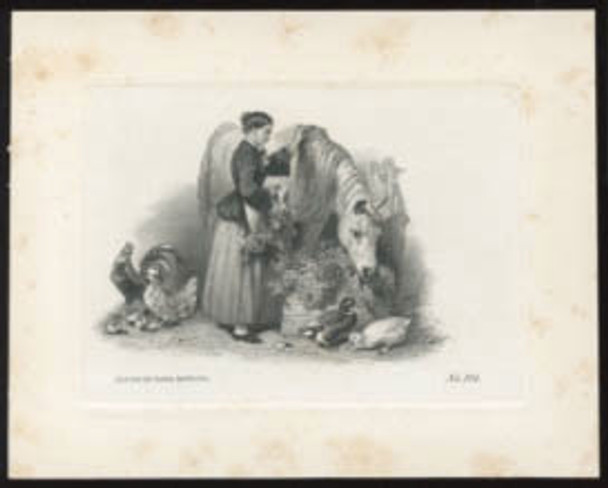 Canada: The Home Bank of Canada "Lady and Horse" Die Proof Vignette on Small Card