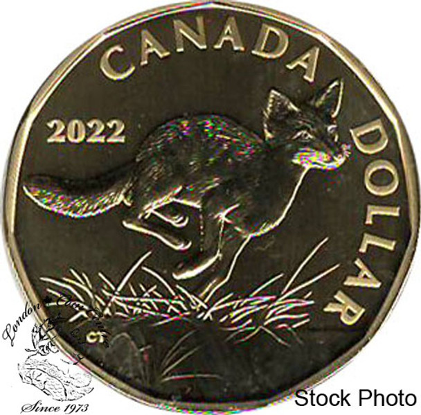 Canada: 2022 $1 Loonie Swift Fox Specimen Coin