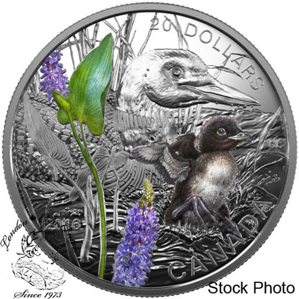 Canada: 2016 $20 Baby Animals - Common Loon Silver Coin
