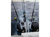 Tigress Five Banger Rod Holder