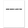 How Much I Love You