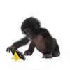 Monkeying around with Banana Phone Stand