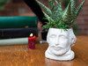 Lifestyle Shot - Shakespeare Planter