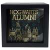 Hogwarts Alumni Shadow Bank