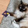 Magic Carpet Ride Catnip Cat Toy