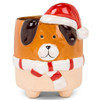  Dog with Santa Hat Planter