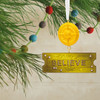 Polar Express Ticket and Compass Ornament by Hallmark